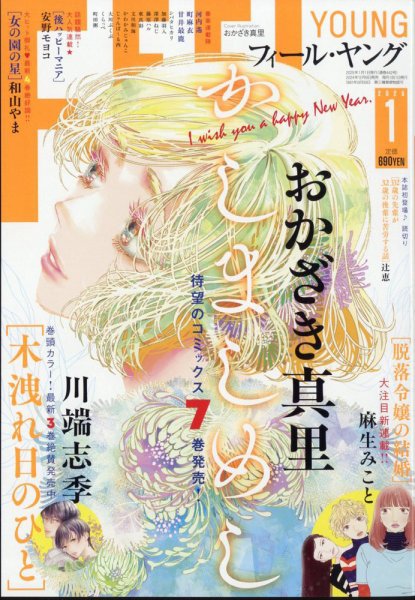 フィールヤング 2025年1月号 (発売日2024年12月06日) 表紙