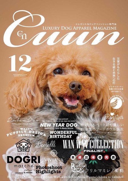 Cuun（クーン） 2024年12月号 (発売日2024年12月10日) 表紙