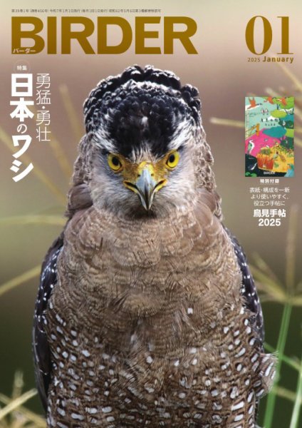 BIRDER（バーダー） 2025年1月号 (発売日2024年12月16日) 表紙