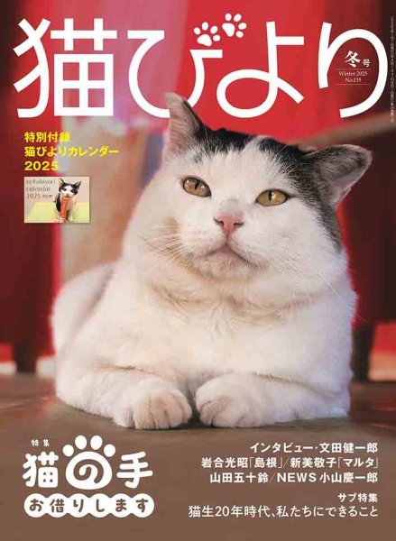 猫びより vol.135 2024年冬号 (発売日2024年12月12日) | 雑誌/定期購読