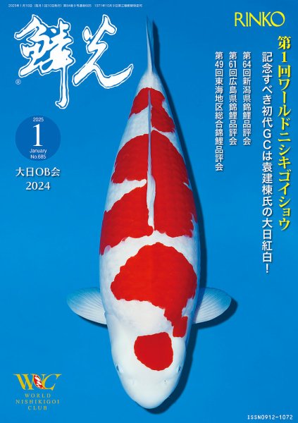 鱗光 2024年12月15日発売号 表紙