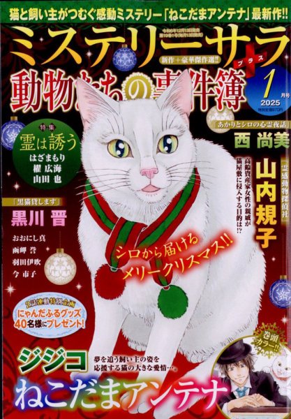 MYSTERY sara（ミステリーサラ） 2025年1月号 (発売日2024年12月13日) 表紙