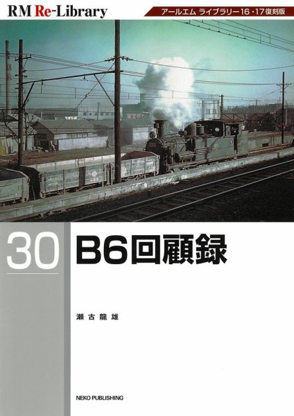 RM Re-Library（RMリライブラリー） 30 (発売日2024年10月19日) 表紙