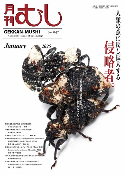 月刊むし 647 (発売日2024年12月23日) 表紙