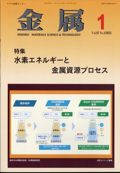 金属 2025年1月号 (発売日2024年12月27日) 表紙