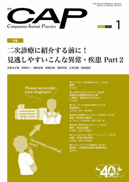 月刊CAP 2025年1月号 (発売日2024年12月26日) 表紙