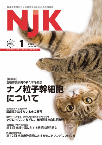 NJK Vol.281 (発売日2024年12月26日) 表紙