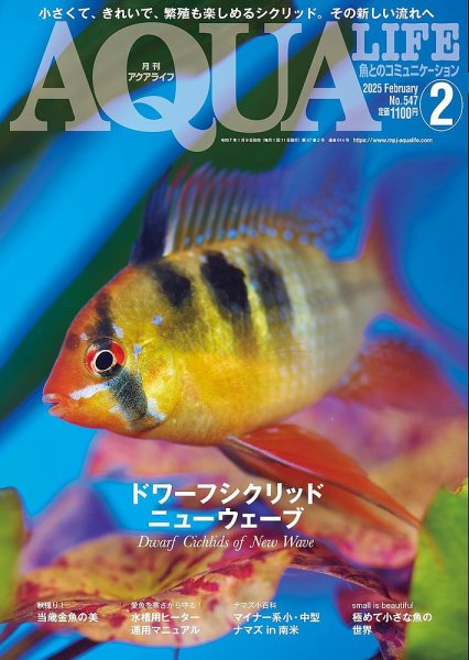 アクアライフ 2月号 (発売日2025年01月09日) 表紙