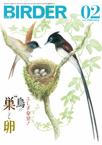 BIRDER（バーダー） 2025年2月号 (発売日2025年01月16日) 表紙