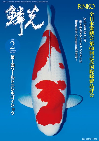 鱗光 2025年01月15日発売号 表紙