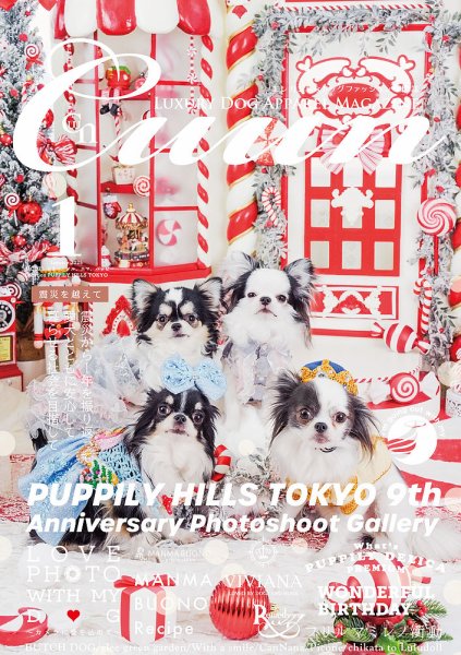 Cuun（クーン） 2025年1月号 (発売日2025年01月10日) 表紙