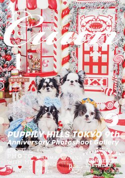 Cuun（クーン） 2025年1月号 (発売日2025年01月10日) 表紙