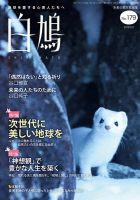 白鳩 No.179 (発売日2025年01月20日) 表紙