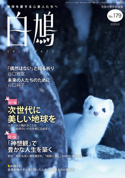 白鳩 No.179 (発売日2025年01月20日) 表紙