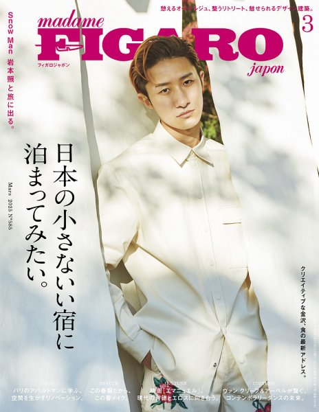 フィガロジャポン(madame FIGARO japon) 2025年3月号 (発売日2025年01
