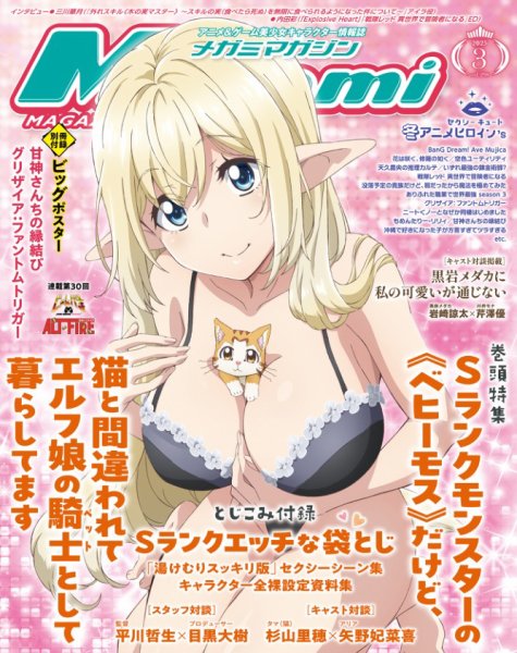 Fujisan.co.jp【Megami Magazine(メガミマガジン） 2025年3月号(2025年1月30日発売)】