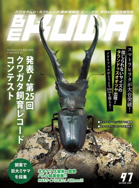 BE-KUWA（ビークワ） 97 (発売日2025年10月16日) 表紙