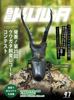 イマキラ12冊　1994〜1998 インセクトマートのクワガタムシ採集記 mqdefault.jpg