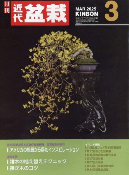 月刊 近代盆栽 2025年3月号 (発売日2025年02月04日) 表紙