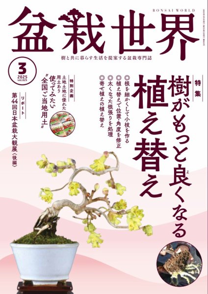 盆栽世界 2025年3月号 (発売日2025年02月04日) 表紙