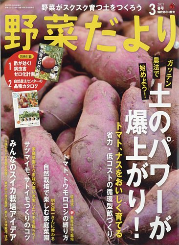 野菜だより 2025年3月号 (発売日2025年02月03日) | 雑誌/電子書籍/定期