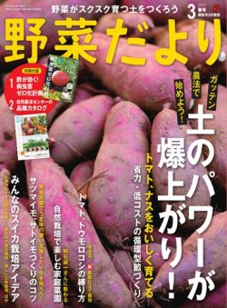 野菜だより 2025年3月号 (発売日2025年02月03日) 表紙