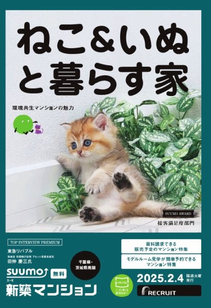 SUUMO新築マンション千葉県・茨城県南版 25/02/04号 (発売日2025年02月04日) 表紙