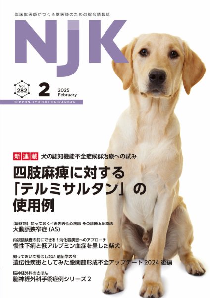 NJK Vol.282 (発売日2025年02月01日) 表紙