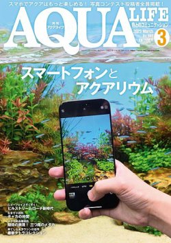 アクアライフ 3月号 (発売日2025年02月10日) | 雑誌/電子書籍/定期購読