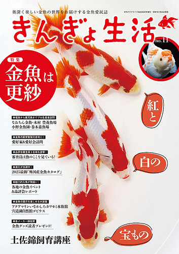 きんぎょ生活の最新号【No.11 (発売日2025年07月24日)】| 雑誌/電子