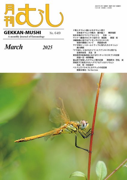 月刊むし 649 (発売日2025年02月25日) 表紙