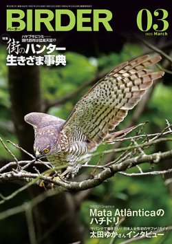 BIRDER（バーダー） 2025年3月号 (発売日2025年02月15日) 表紙