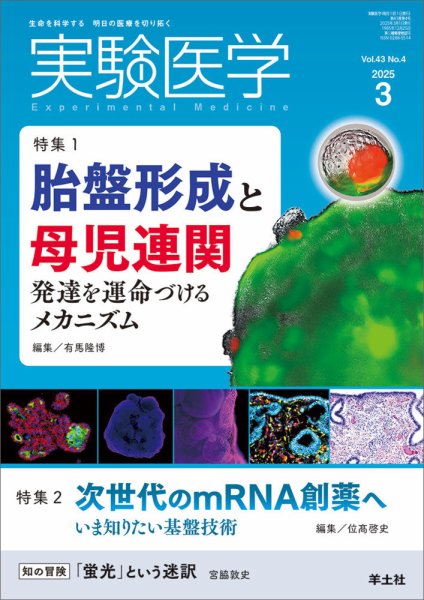 実験医学 Vol.43No.4 (発売日2025年02月20日) 表紙