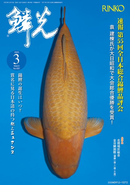 鱗光 2025年02月15日発売号 表紙