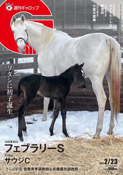 週刊Gallop（ギャロップ） 2025年02月17日発売号 | 雑誌/電子書籍/定期