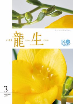 いけ花龍生 3月号 (発売日2025年03月01日) 表紙