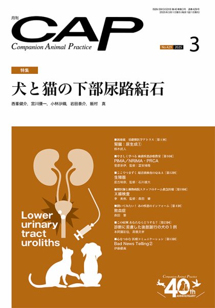 月刊CAP 2025年3月号 (発売日2025年03月01日) 表紙