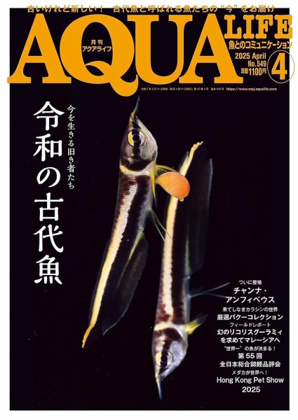 アクアライフ 4月号 (発売日2025年03月11日) | 雑誌/電子書籍/定期購読