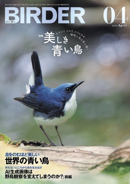 BIRDER（バーダー） 2025年4月号 (発売日2025年03月14日) | 雑誌/電子