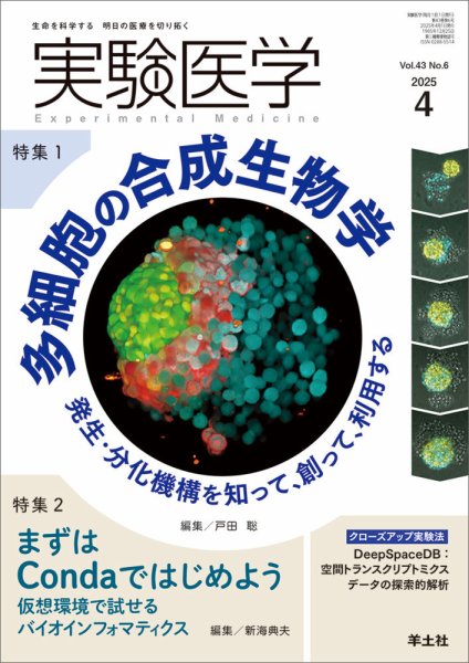 実験医学 Vol.43No.6 (発売日2025年03月20日) 表紙