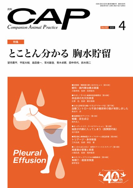月刊CAP 2025年4月号 (発売日2025年04月01日) 表紙