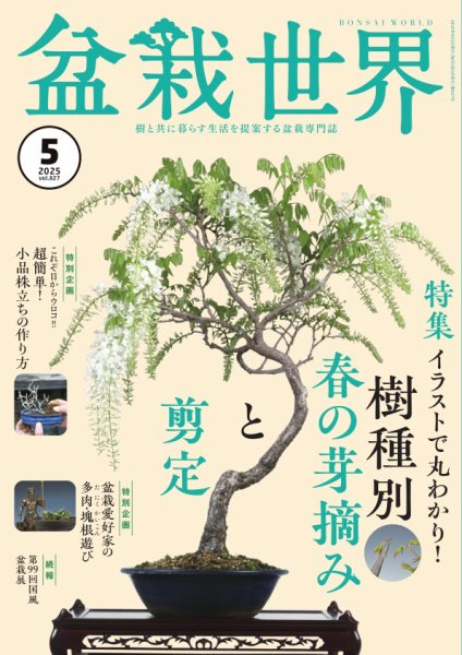 盆栽世界 2025年5月号 (発売日2025年04月04日) 表紙