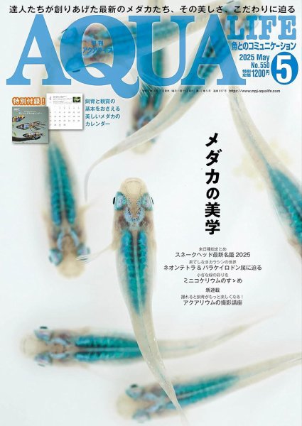 アクアライフ 5月号 (発売日2025年04月11日) | 雑誌/電子書籍/定期購読