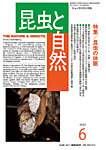 昆虫と自然 2025年6月号の表紙