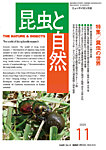 昆虫と自然 2025年11月号の表紙