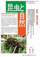 昆虫大系 昆虫の森G 大襲来!ジャイアントスパイダー 全5種 コーカサス