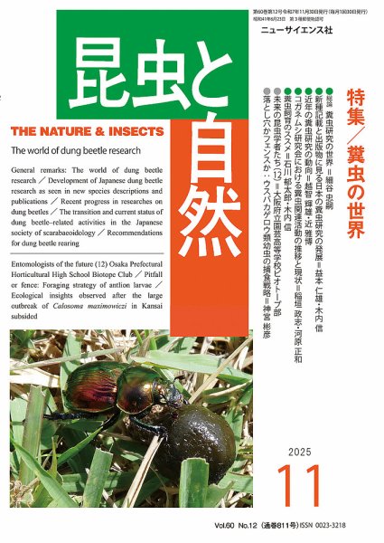 昆虫と自然 2025年11月号 (発売日2025年10月21日) 表紙