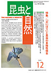 昆虫と自然 2025年12月号の表紙