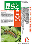 昆虫と自然 12月臨時増刊の表紙