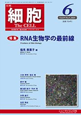 細胞 2025年6月号 (発売日2025年05月22日) 表紙